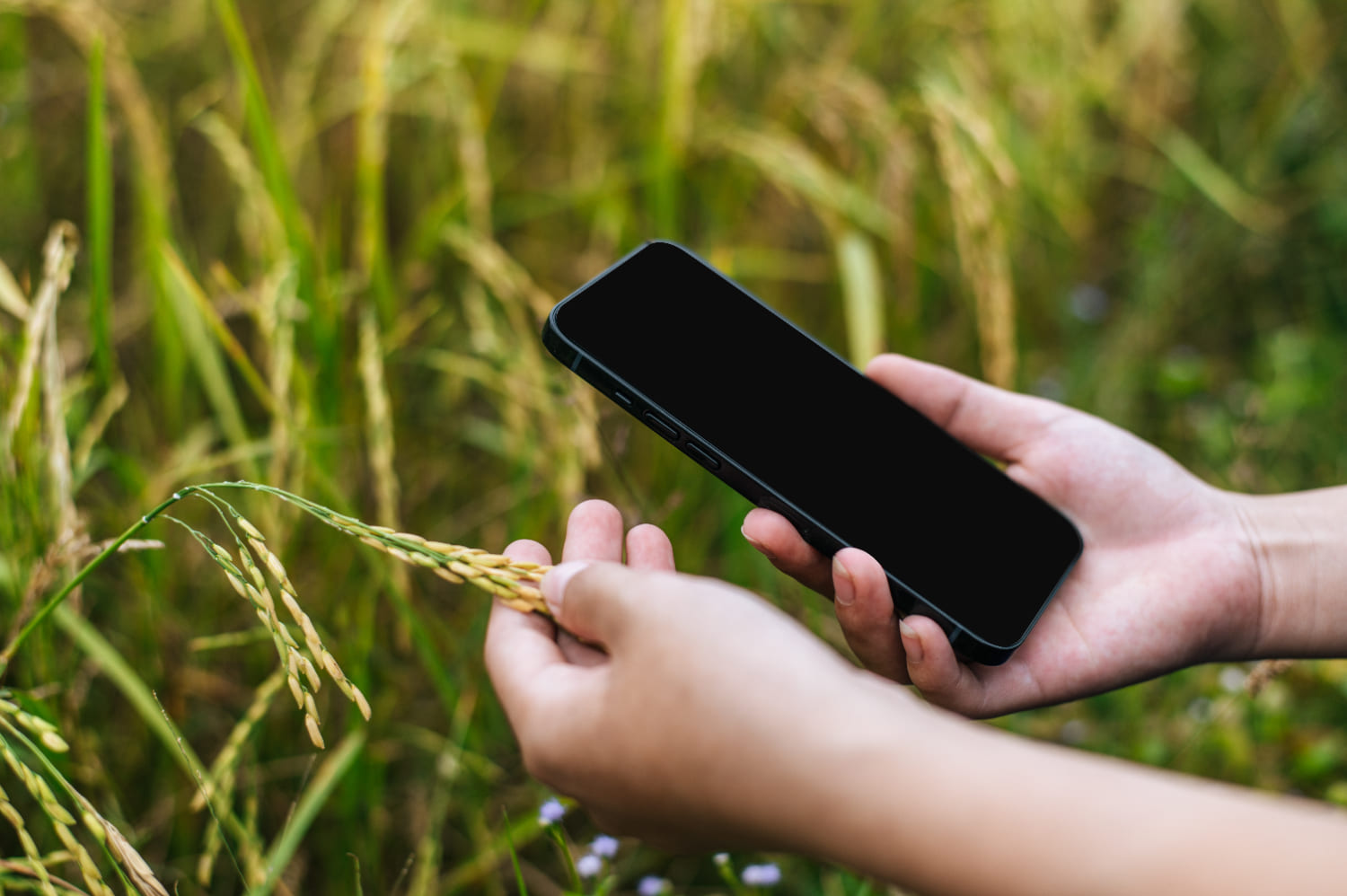 Sustainable farming technology